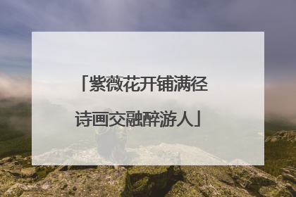 紫薇花开铺满径 诗画交融醉游人